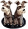Sel Poivre Mélange Ensemble Motif chien Schnauzer cadeau table cuisine/maison ceramique 3 pieces