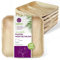 GoBeTree Platos Desechables de Hoja de Palma 25 Platos Cuadrados de 24 cm. Vajilla para barbacoas, picnic y Fiesta de cumpleaños, Similar al bambú, más fuerte que platos de papel