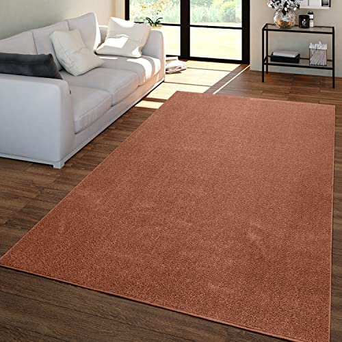 TT Home Wohnzimmer Teppich Kurzflor Unifarbendes Design Modern Und Zeitlos, Farbe: Braun Orange, Größe:160x220 cm