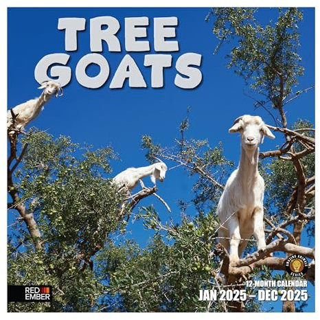 RED EMBER Tree Goats 2025 Wall Calendar 12 Month | 12 x 24 Open | Thick & Sturdy Paper | Giftable | Calendar 2025