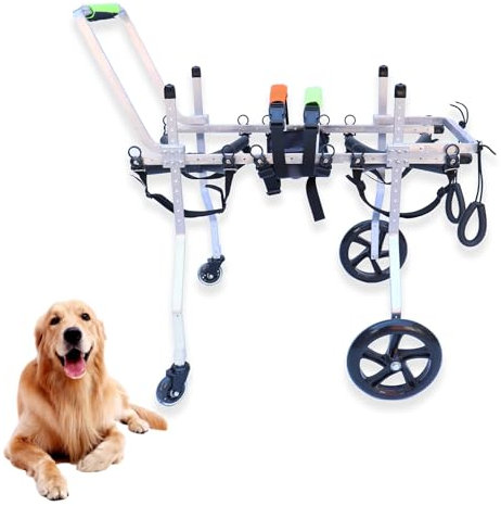 Hunderollstuhl Rollstuhl Für Große Hunde Mit 4 Rädern, Langlebiger Mobilitätshilfewagen, Verstellbarer Hundescooter Für Schwache Hinterbeine Großer Haustiere, Wiederherstellung Der Mobilität Von Hunde