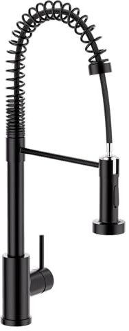 WLTEDRGO Spiralfeder Wasserhahn Küche Ausziehbar, Hochdruck Küchenarmatur mit Brause, Armatur Küche mit 2 Strahlarten, 360° Drehbar Mischbatterie Küche Spültischarmatur, Sternenhimmel Schwarz
