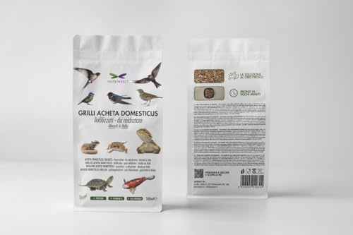 Nutrinsect - Grilli Liofilizzati - Mangime Naturale ideale per geco, camaleonte, tartarughe, pesci e uccelli insettivori come Rondini, Rondoni, Balestrucci, Pack da 500 ml