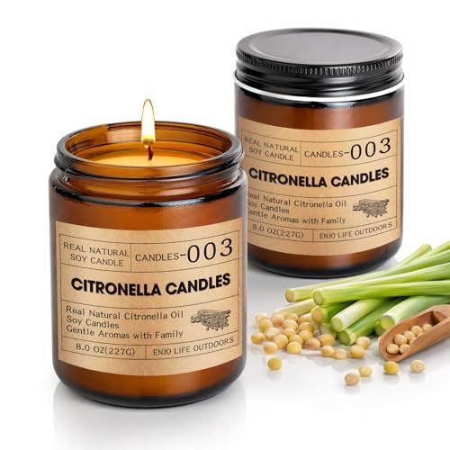 Citronella Kerzen Outdoor Groß,250 Std Camping Kenzen draußen groß, XXL Zitronella Kerzen im Glas mit natürliche Sojawachs Citronellaöl Zitronella Lemongrass für Garten Grill im Freien 2Pcs