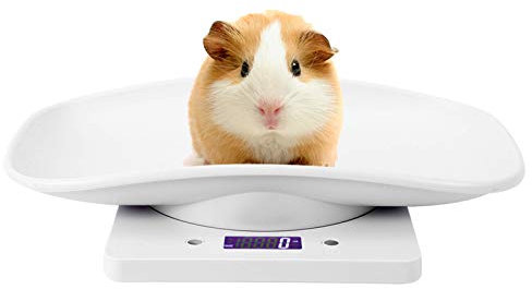 Balance Numérique pour Animaux de Compagnie, Balance Numérique de Précision avec Ecran LCD 4 Modes de Pesée (g/ml/oz/lb) Capacité Jusqu'à 10kg Antidérapant pour Chaton Chiots Tortue Hamster
