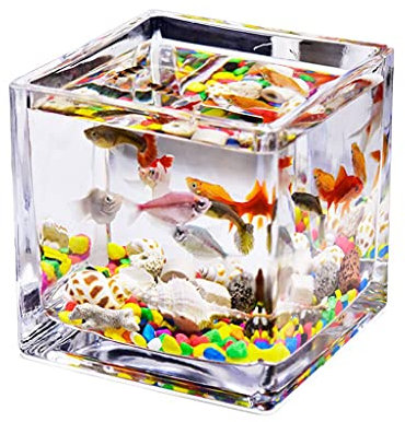 peceras Escritorio Cuadrado Transparente Mini Oficina Mini Oficina Tanque De Pesca Agua Hierba Tanque Betta Pescado Ornamental Peces Pequeño Tanque de Peces peceras para Peces (Size : 3.94IN)