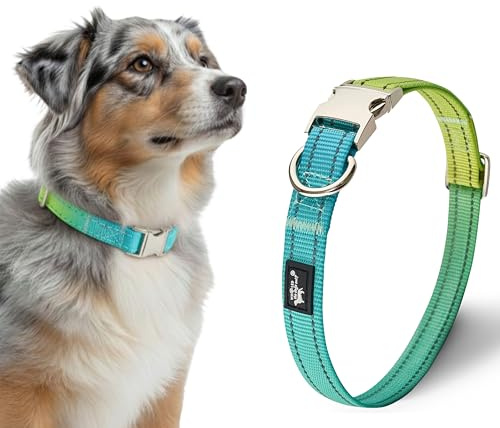 Halsband Hund – Wasserdicht mit reflektierendem Metallverschluss – 40-65 cm(breit Hund), verstellbares Nylonhalsband und fluoreszierender Naht-buntes Hundehalsband