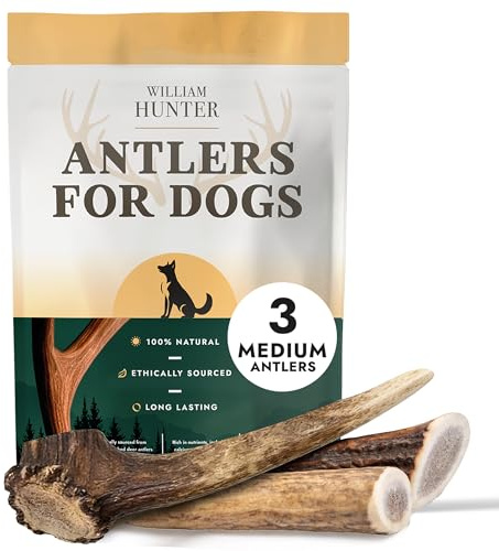 William Hunter Deer Antlers for Dogs - Naturally Shed Antler Chews for Dogs, Long Lasting & Nutritious Antler Dog Chews that Promote Dental Health with No Foul Smell (3 Medium Antlers)