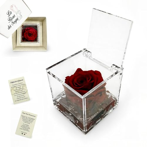 La Rosa dei Sogni Rosa Stabilizzata Profumata con Petali in gel in Cubo Trasparente - Confezione Regalo Elegante - Durata 5-7 anni - Made in Italy - 5x5 cm (Rosso)