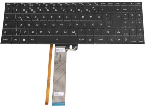 MEDION 40081389 Original Tastatur DE (deutsch) schwarz mit Backlight für Erazer Beast X25 (GM7ZG8P), Akoya S15801 (GM5MP0Y)