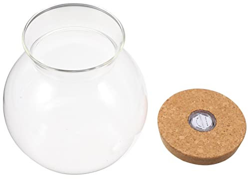 Landscape Bottle Embellishments for Crafts Jar with Lid Table Top Plant Stand Pastic Fish Tank Decor Large Clear Ornaments Decorative Glass Vase Mini Aquarium Bottle Glass Bottle