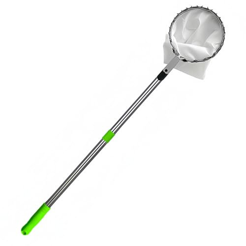 Piqueur de fruits, poteau de ramasseur de fruits de 10,5 pieds avec un taste télescopique, panier de fruits, poteau de ramasseur de fruits en acier inoxydable avec dents en métal pour obtenir des f