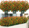 SOMYTING Lot de 8 Fleurs Artificielles pour Balcon Résistant Aux UV Vert Eucalyptus Décoration pour L'intérieur et L'extérieur Le Jardin la Fenêtre Le Mariage la Fête (Rouge)