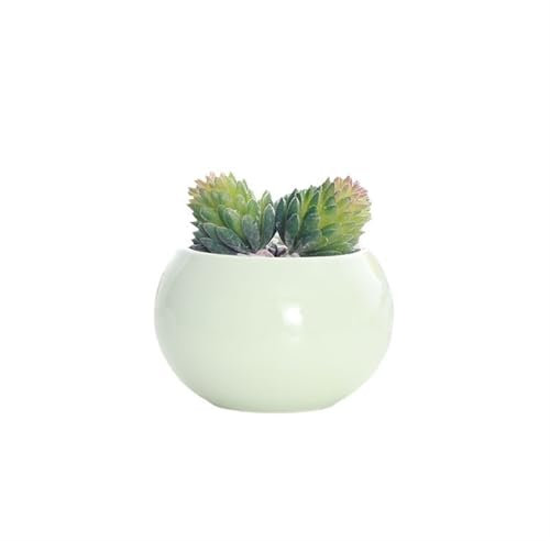 DFEPPJHG Pot De Fleur Boule Lumineuse, Cactus Succulent, Pot en Céramique, Petit Pot De Fleur Respirant, Présentoir De Bureau, Pot De Plante en Pot(A)