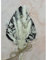 Dried Flower Cake Topper Spear Palm Bouquet (Black And White)