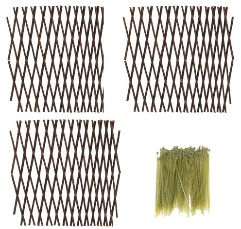 Lot de 3 clôtures extensibles en treillis pour plantes grimpantes pour jardin et balcon (20 x 40 cm)