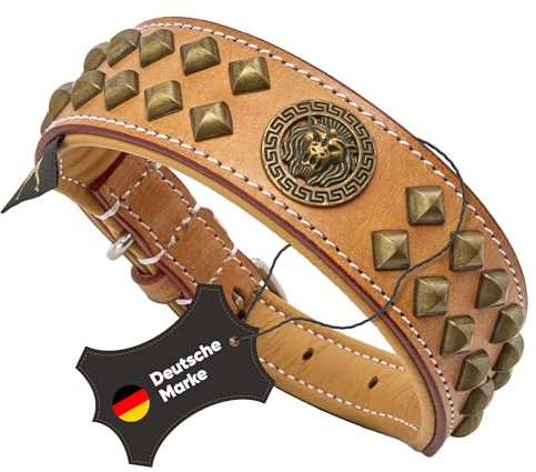 MICHUR Diego Beige Hundehalsband Leder, Lederhalsband Hund, Halsband, Leder, mit Löwenkopf Applikation, Flachnieten in Aklt-Messing Optik, Braun Beige Gold, in verschiedenen Größen erhältlich