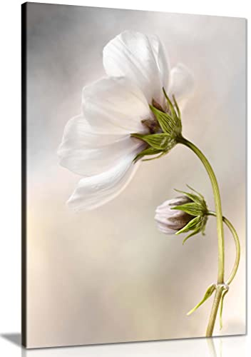 Panther Print Fine Art Prints White Cosmos Flower Artistic Framed Canvas Print, Pictures for Home Walls, Bedroom, Living Room & Bathroom Decor 61x41cm (24x16in)