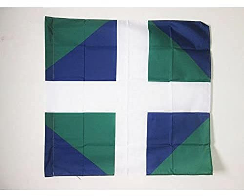AZ FLAG - Flagge Königreich Frankreich Regiment D’Auxerrois 1776-1793 - 90x90 cm - Französische Infanterie Fahne 90 x 90 cm Scheide Für Mast - Flaggen