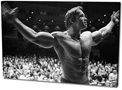 Arnold Schwarzenegger Format: 120x80 Leinwandbild, TOP-Qualität! Wand-Bild erhältlich von klein bis groß (XXL) made in Germany! Preiswerter fertig gerahmter Kunst-Druck zum Aufhängen - tolles und einzigartiges Motiv. Kein Poster oder Plakat!