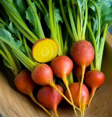 Legend Online Garten Samen Beet Prüfstein Gold-D2818SL (Gold) 200 Bio-Saatgut
