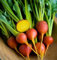 Legend Online Garten Samen Beet Prüfstein Gold-D2818SL (Gold) 200 Bio-Saatgut