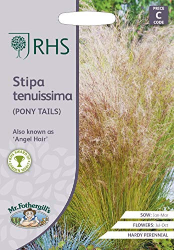 RHS Grasses Stipa tenuissima - Pony Tails Seeds