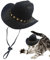 Hundehut, Cowboyhut für Katzen, Cowboyhut für kleine Haustiere für Hunde | Halloween-Kostüme für Welpen, bequeme Party-Dekoration für Haustiere