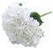 Raumteiler Holz Äste Tuch Hause Dekoration Hochzeit Blume Wand Anordnung Bouquet Gabeln Große Hortensie Zimmer Dekoration Modern (White, One Size)