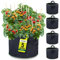 Garnen 19 litros / 5 Galones Bolsa de Cultivo de Plantas con Asa (5 Piezas), Bolsas De Cultivo Transpirables De Tela No Tejida y Durable para Plantas Hogar Balcón, Flores y Verduras
