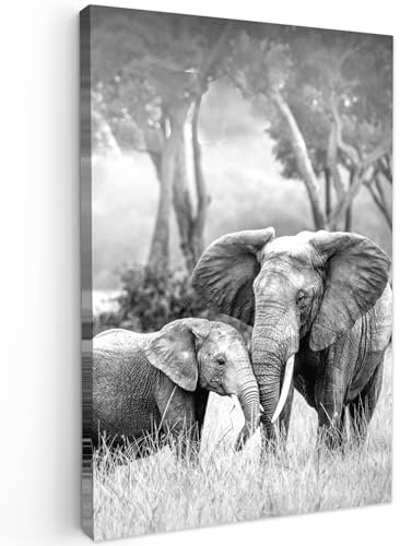 MuchoWow© Impression sur Toile Decoration Murale Peinture 60x90 cm Tableaux Decoratifs Muraux Déco Chambre Tableau Salon Elephant - Animaux - Noir et blanc