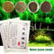 Portal Cool Mini Leaf to Leaf Grass: A059 Aquarium Grass Seeds Water Grass Seeds Small 1Bag Landscape Easy Plant