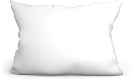 Amazinggirl Kopfkissen 30 x 50 cm Sofakissen Pillow und Polster - Bett und Sofa Kissen Schlafkissen Dekokissen Zierkissen und Kopfpolster Pillows for Sleeping Mikrofaser Oeko-Tex