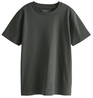 NEXT Jungen Regular Fit Kurzarm-T-Shirt Grau Anthrazit 158-
