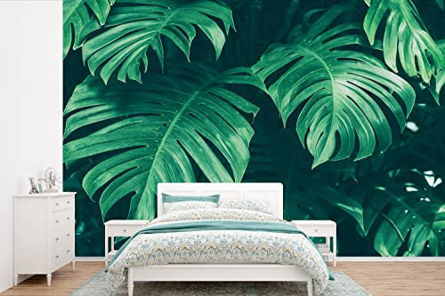 Selbstklebend Tapete Wandpapier Wandaufkleber Fototapete Tapeten Wanddeko 600x400 cm Monstera - Blätter - Pflanzen - Dschungel - Natur