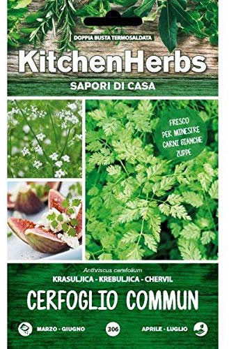 Semi Dotto di Cerfoglio Commun