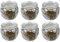 HS Candle Duftkerzen Motiv 6er Pack im Glas, Lange Brenndauer und angenehmer Duft Anti Tabak (Ginger Lime)
