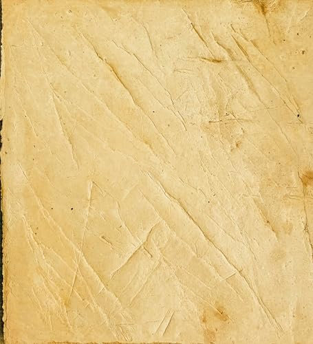 Strukturierte Glättekelle mit festem Griff für Mörtel, Beton, Prägung, Zement, Mörtel, Einschicht, Tematisierung, Nachahmung des Natursteins, Dekoration (Lasche A + Band B)