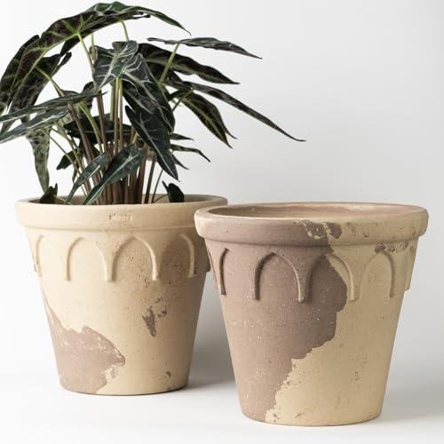 Nipots 2 Pack Terracotta Clay Plant Pots with Drainage, Breathable Water-Absorbing Planters for Healthy Roots, 8 InchDeep Flower Pots for Indoor and Outdoor Gardening, Latte