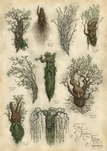 Weta Workshop Herr der Ringe Kunstdruck Ent's of Fangorn Forest 59 x 30 cm