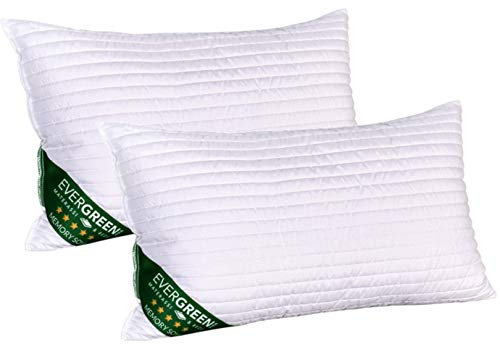 EVERGREENWEB 2 Kissen Für Betten und Sofas 40 x 70 cm, 15 cm Hoch, Waschbar, ORTOPÄDISCH, Antimilben Bezug aus Memory Foam FLOCKEN mit Soja Faser, Super Weich mit Gänsefeder Effekt