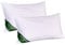 EVERGREENWEB 2 Kissen Für Betten und Sofas 40 x 70 cm, 15 cm Hoch, Waschbar, ORTOPÄDISCH, Antimilben Bezug aus Memory Foam FLOCKEN mit Soja Faser, Super Weich mit Gänsefeder Effekt
