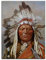 Kunstdruck Poster - Häuptling Sitting Bull 20x30 cm ca. A4 - Berühmtheiten & Zeitgeschichte Bild ohne Rahmen