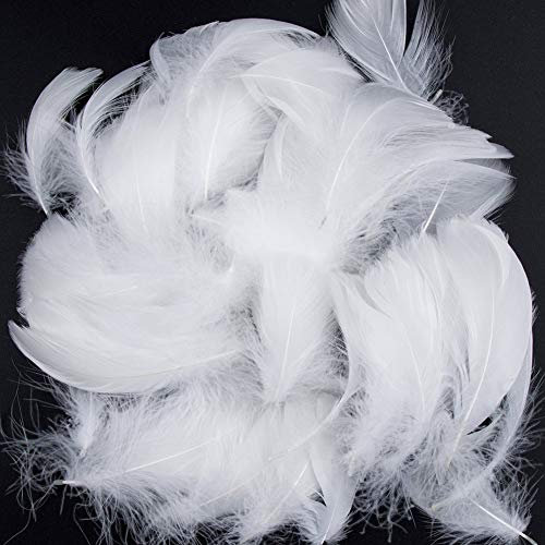 Plumes Blanches,300 PCS Plume Loisirs Creatifs Naturelles Décorations Plumes pour Bricolage Capteurs de Rêves Chapeaux Costume Fête à la Maison Décorations Mariage 8-12CM