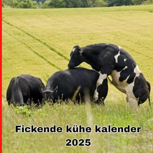 Fickende kühe kalender 2025