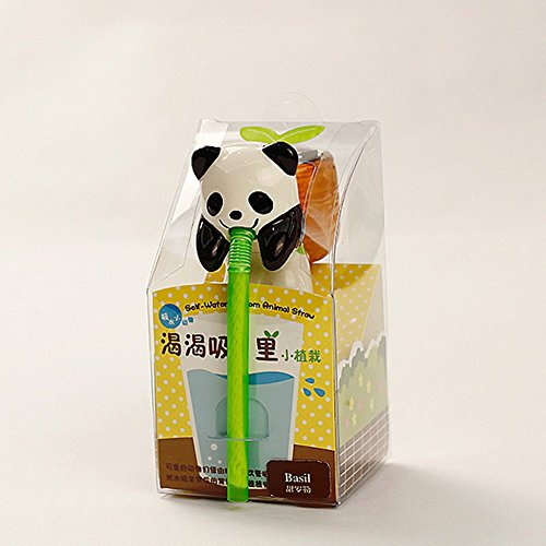Indoor Plant Garden Domestico Water Vase Cute Animal with Skull (Panda Basilio):Seeds Only