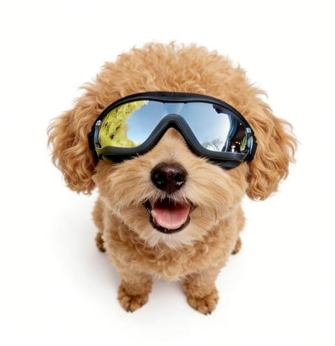 Enjoying Hundebrille Klein UV-Schutz, Sonnenbrille für Hunde Kleine Rassen, Anti-Nebel Winddicht Staubschutz, Welpen Fahrbrille Augenschutz, Verstellbare Bänder, Taktik Schwarz