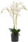 Leaf Design UK Realistic Artificial Orchid Flower Display in Pot,60cm