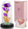 HOTOIQ Geschenke für Frauen,Ewige Rose Lila im Glas,Muttertagsgeschenke für Mama, Infinity Rosen Geschenk für Freundin Geburtstag,Geschenke für Frauen,Mama,Oma,Freundin