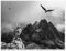 wandmotiv24 Poster als Wanddeko, Größe 40x30cm, Berge, Gebirge, Adler, Moderne Wanddeko, Wandbilder, Deko, Bild M0287